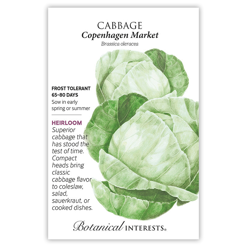 Greenhaus Gardening Cabbage Seeds Quick-Maturing Cabbage for Vegetable Gardens
