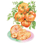 Greenhaus Gardening Tomato Seeds Fruity Low-Acid Tomato for Summer Salads