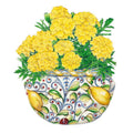Greenhaus Gardening Marigold Seeds Edible French Marigold Flowers for Garnish