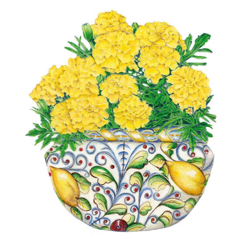 Greenhaus Gardening Marigold Seeds Edible French Marigold Flowers for Garnish