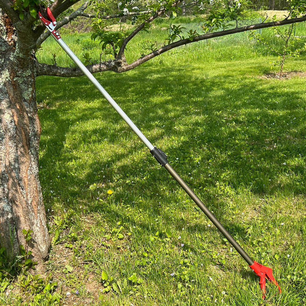 Greenhaus Gardening 5-Foot Reach Tree Pruner for Safe Overhead Trimming