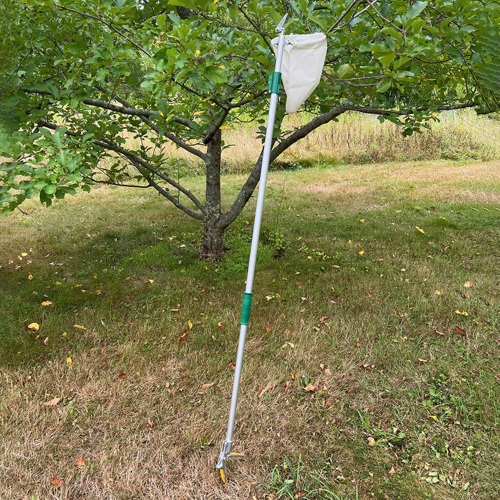 Greenhaus Gardening High-Reach Fruit Picker for Easy Tree Harvesting