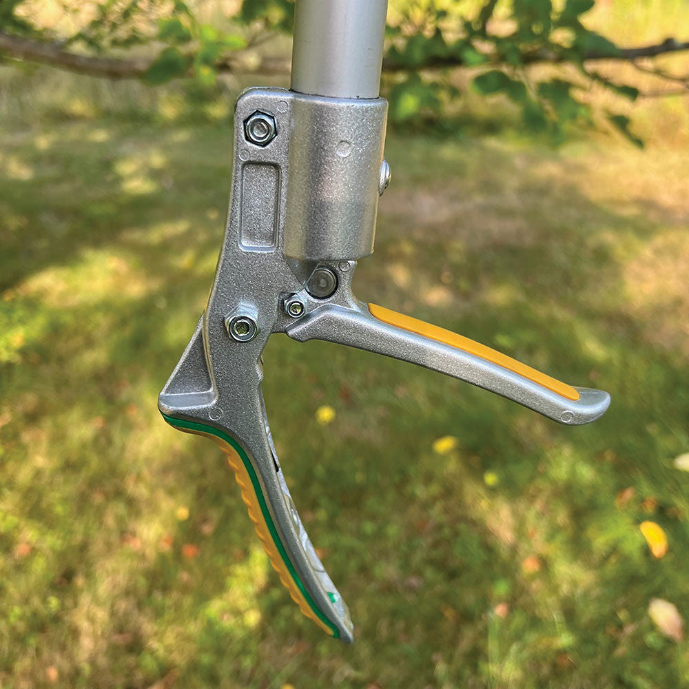 Greenhaus Gardening High-Reach Fruit Picker for Easy Tree Harvesting