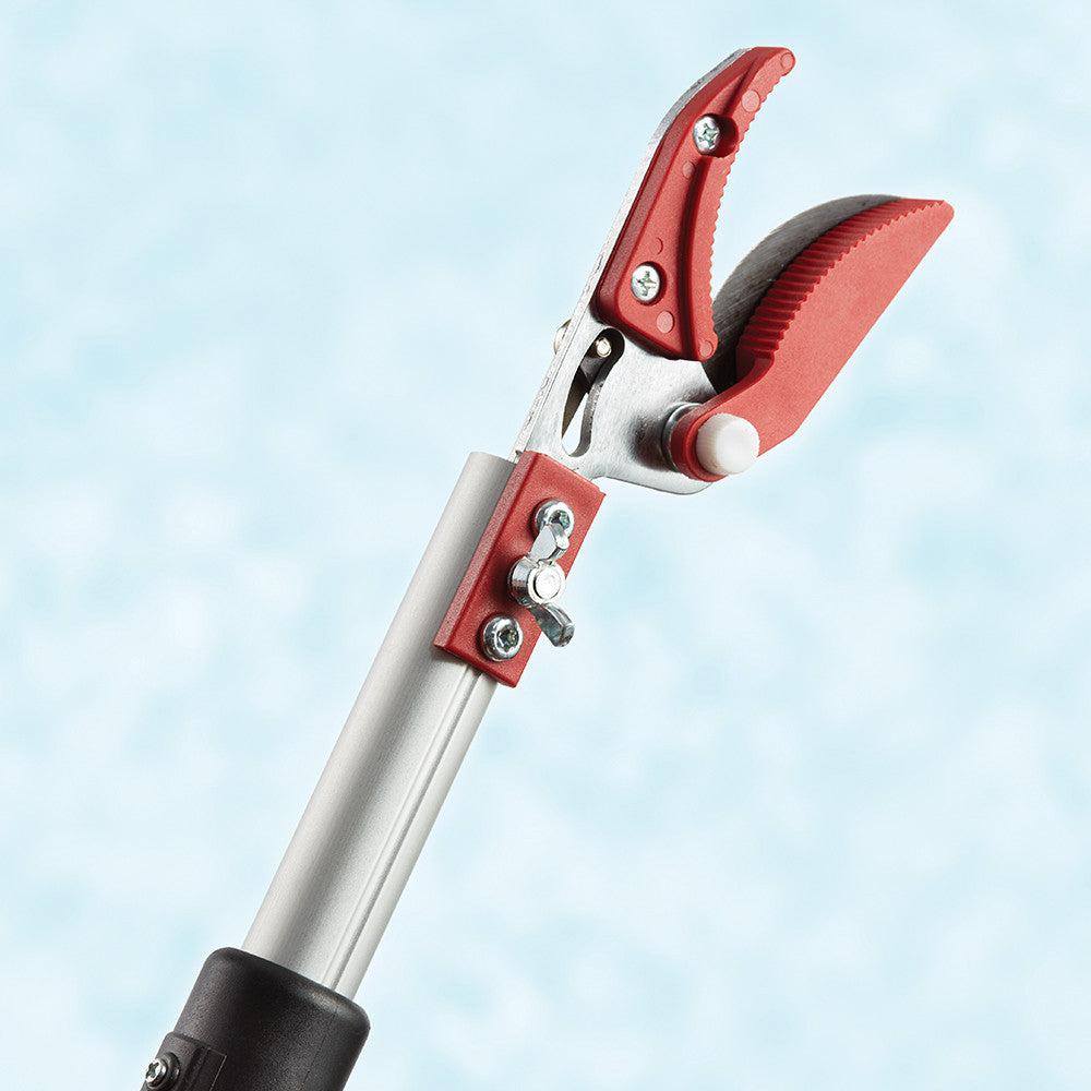 Greenhaus Gardening 5-Foot Reach Tree Pruner for Safe Overhead Trimming