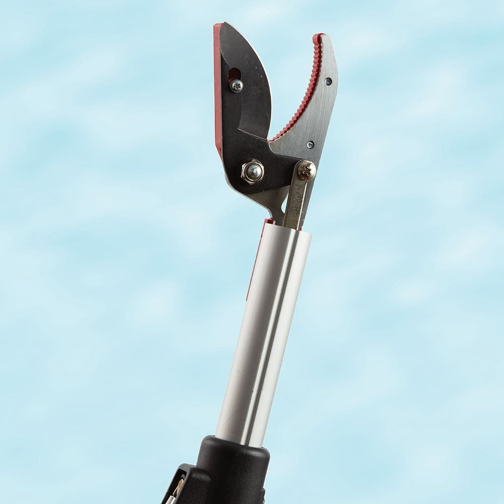 Greenhaus Gardening 5-Foot Reach Tree Pruner for Safe Overhead Trimming