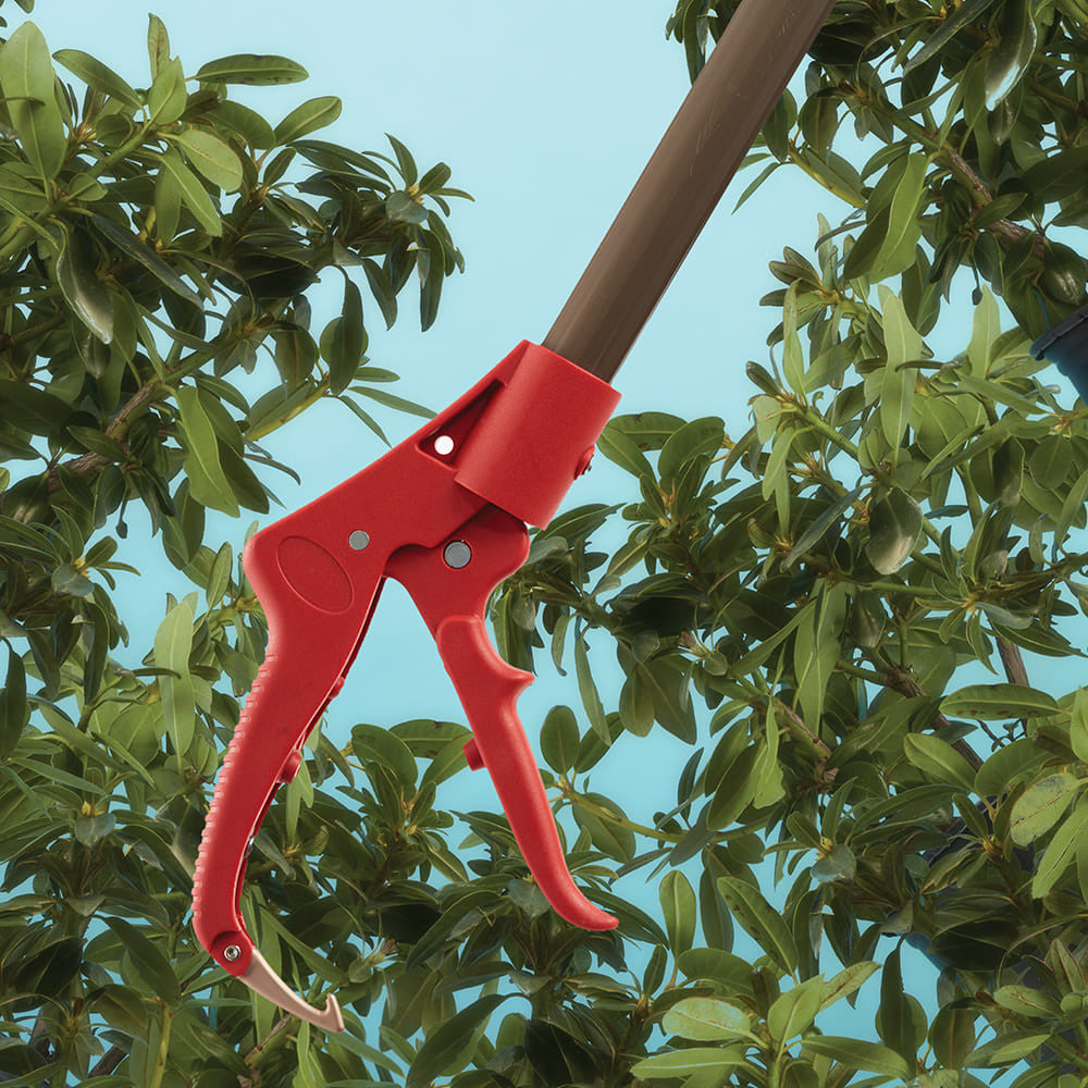 Greenhaus Gardening 5-Foot Reach Tree Pruner for Safe Overhead Trimming