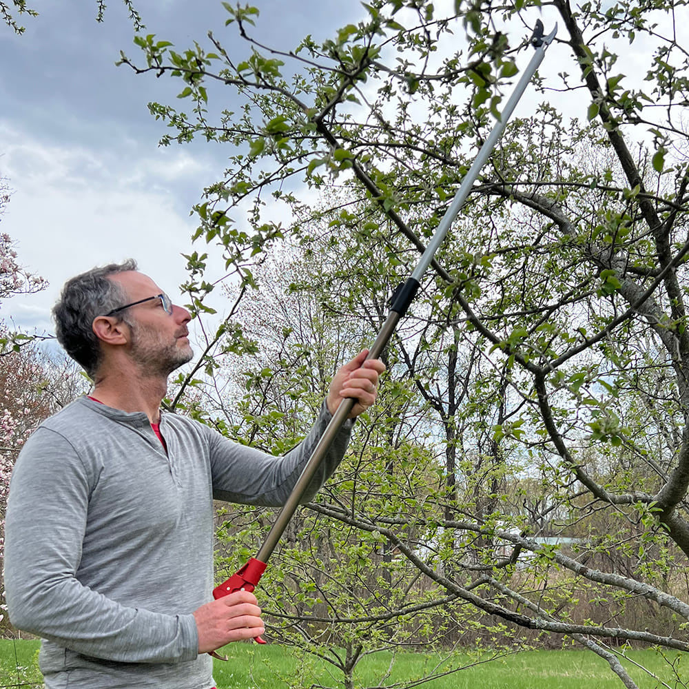 Greenhaus Gardening 5-Foot Reach Tree Pruner for Safe Overhead Trimming