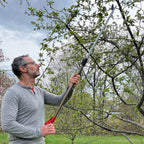 Greenhaus Gardening 5-Foot Reach Tree Pruner for Safe Overhead Trimming
