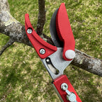 Greenhaus Gardening 5-Foot Reach Tree Pruner for Safe Overhead Trimming
