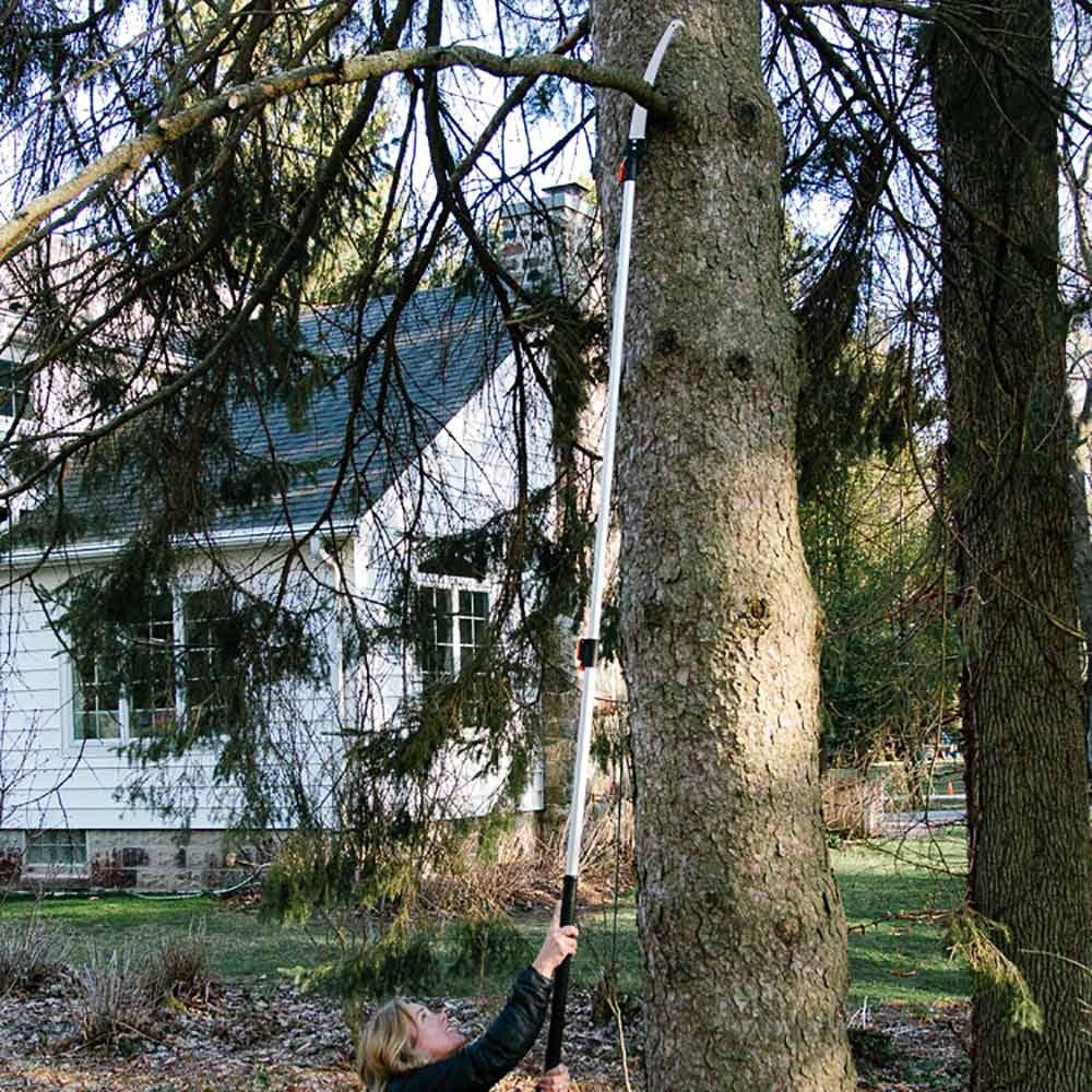 Greenhaus Gardening Extendable Jumbo Pole Saw and Pruner for Tree Trimming