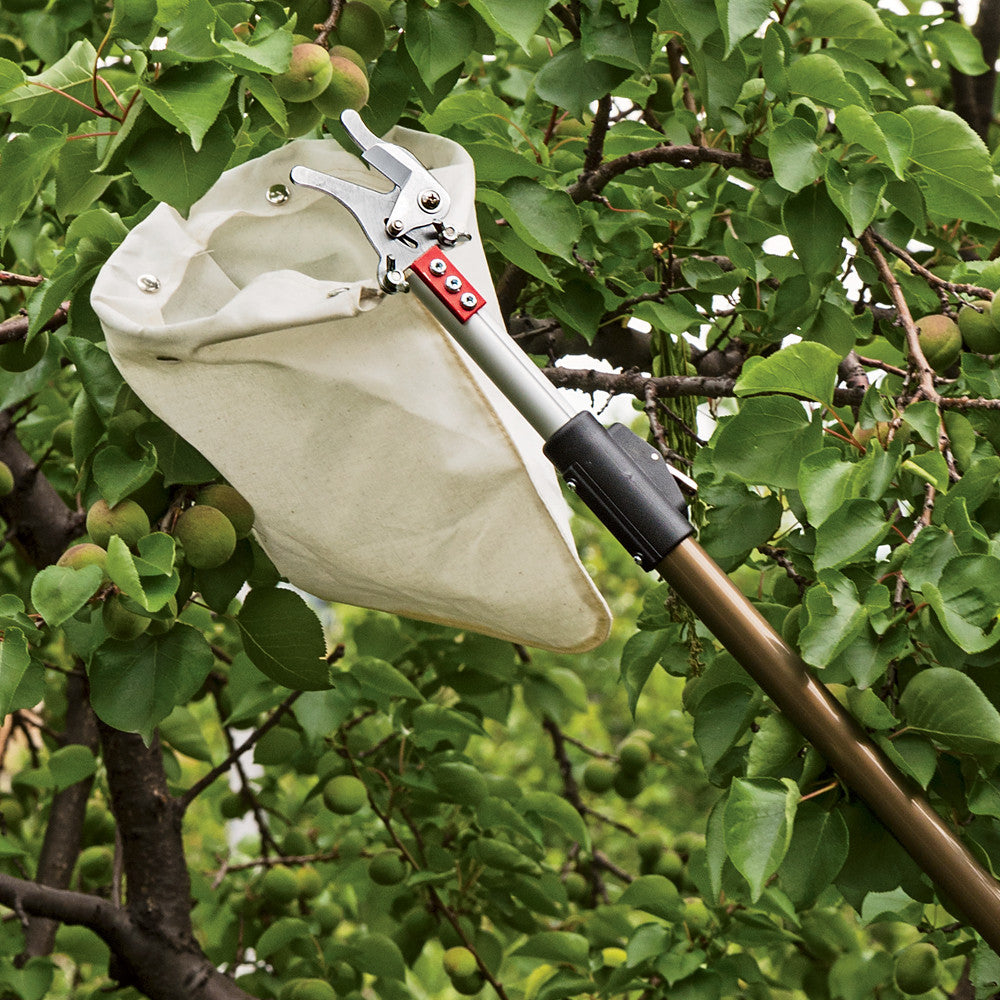 Greenhaus Gardening Telescopic Fruit Picker with 10-Foot Reach