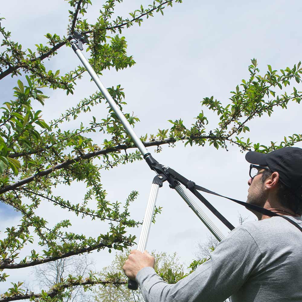 Greenhaus Gardening Long Reach Tree Pruner for Backyard Branches