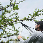 Greenhaus Gardening Long Reach Tree Pruner for Backyard Branches