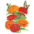Greenhaus Gardening Zinnia Seeds Fireball Flower Mix for Mass Planting