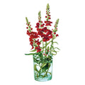 Greenhaus Gardening Snapdragon Seeds Long-Blooming Cut Flowers for Home Gardens