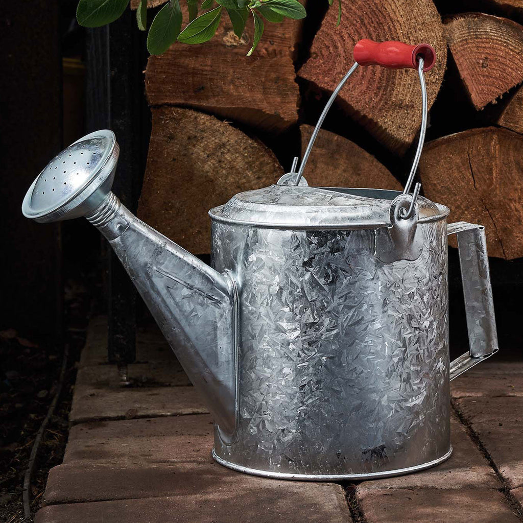 Greenhaus Gardening Watering Can – Galvanized 1.5 Gallon Garden Water Can