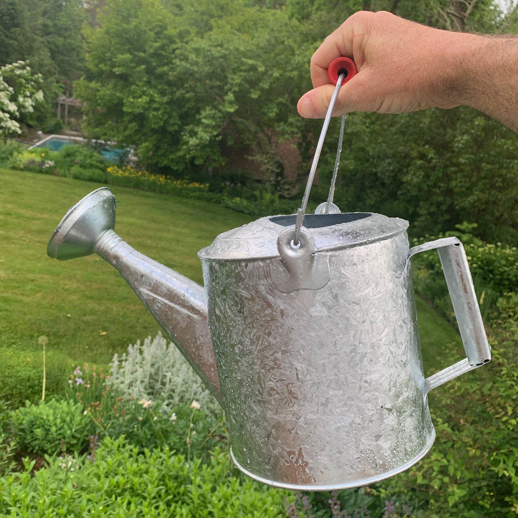 Greenhaus Gardening Watering Can – Galvanized 1.5 Gallon Garden Water Can