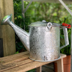 Greenhaus Gardening Watering Can – Galvanized 1.5 Gallon Garden Water Can