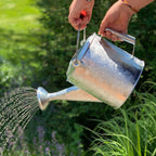 Greenhaus Gardening Watering Can – Galvanized 1.5 Gallon Garden Water Can