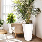 Greenhaus Gardening Large Indoor Outdoor Tall Planter Set with Water Level Monitor