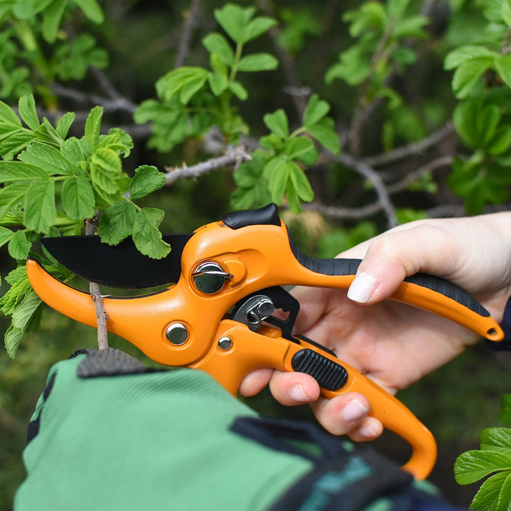 Greenhaus Gardening Ratcheting Pruning Set for Powerful Garden Cutting