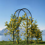 Greenhaus Gardening Metal Garden Arch Trellis for Patios and Lawns