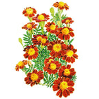 Greenhaus Gardening Marigold Seeds Red Metamorph French Flowers for Pollinators