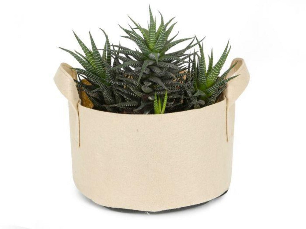 Greenhaus Gardening Tan Grow Pots for Container Gardening in Multiple Sizes