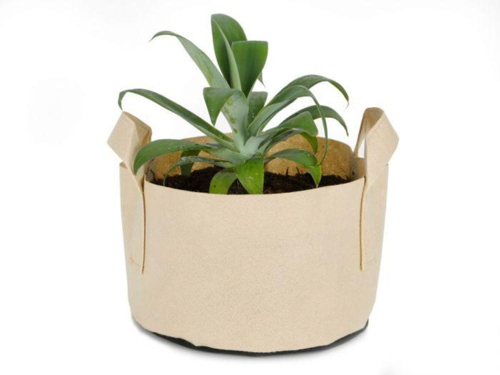 Greenhaus Gardening Tan Grow Pots for Container Gardening in Multiple Sizes