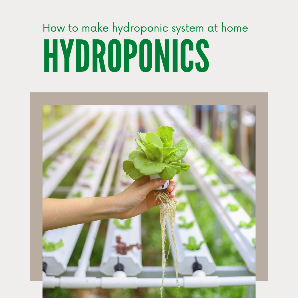 Greenhaus Gardening Indoor Hydroponic Gardening Guide eBook