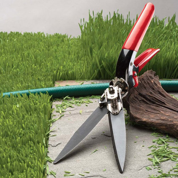 Greenhaus Gardening Grass and Hedge Shears for Neat Outdoor Borders