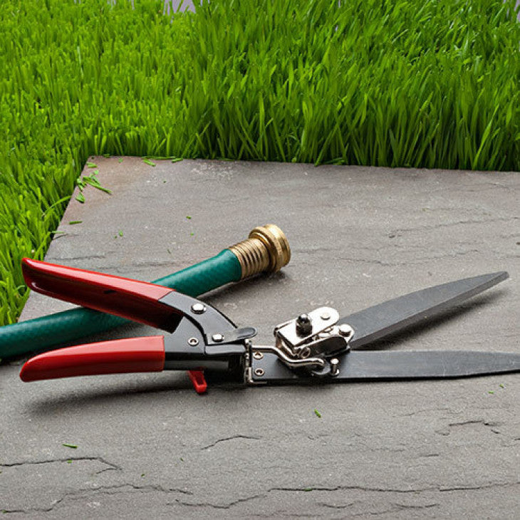 Greenhaus Gardening Grass and Hedge Shears for Neat Outdoor Borders