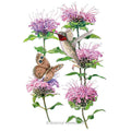 Greenhaus Gardening Wild Bergamot Seeds Mildew-Resistant Monarda for Home Gardens