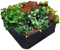 Greenhaus Gardening Breathable Fabric Raised Bed for Fruits Herbs and Plants