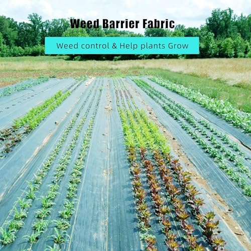 Greenhaus Gardening Weed Control Fabric 6 FT x 300 FT Black