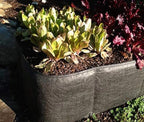 Greenhaus Gardening Breathable Fabric Raised Bed for Fruits Herbs and Plants