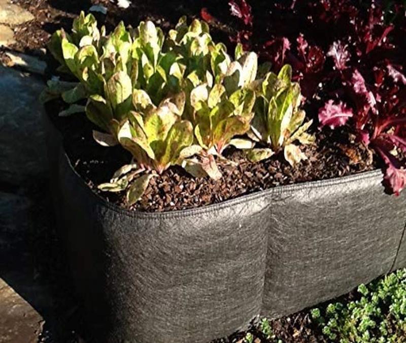 Greenhaus Gardening Breathable Fabric Raised Bed for Fruits Herbs and Plants
