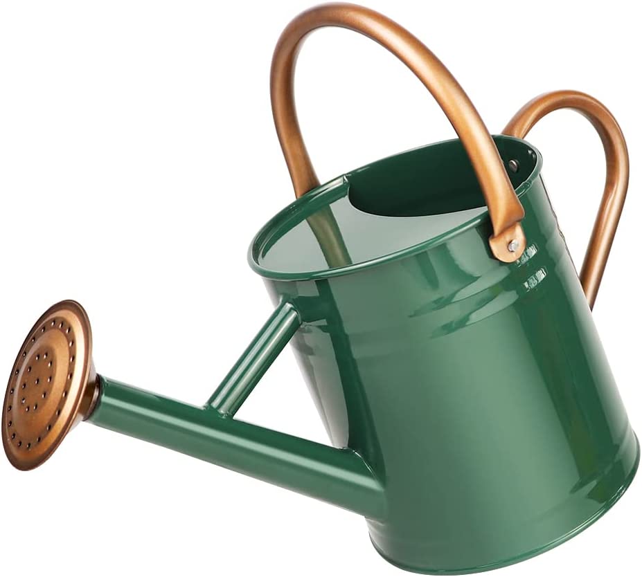 Greenhaus Gardening Metal Plant Watering Can with Removable Rainwater Spout