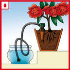Greenhaus Gardening Automatic Plant Waterers for Potted Plants and Containers