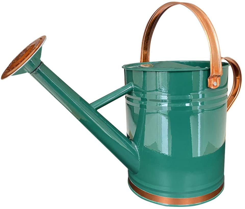 Greenhaus Gardening Decorative Metal Watering Can for Indoor Plants and Gardens