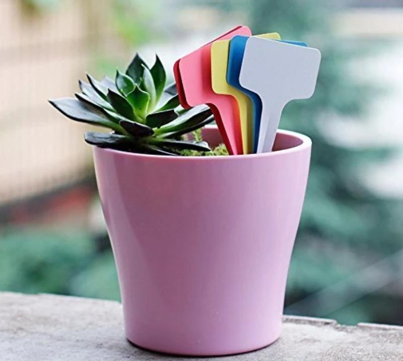 Greenhaus Gardening Plastic Waterproof Plant Labels for Seed Marking