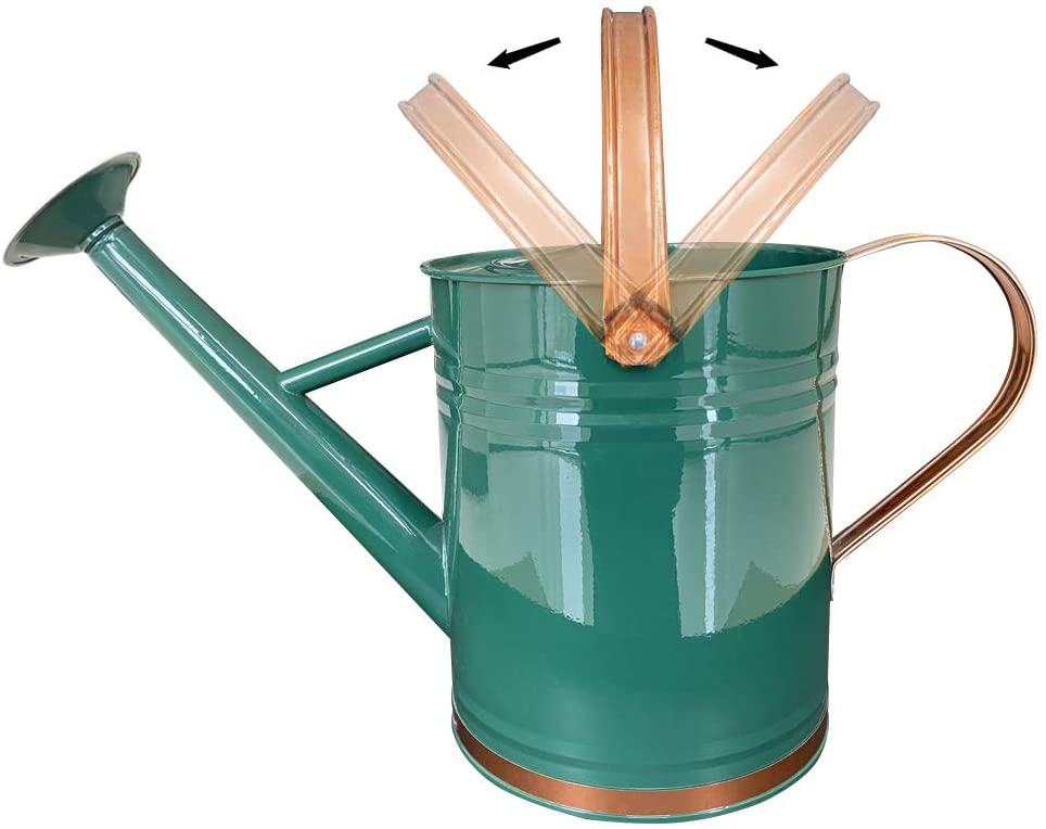 Greenhaus Gardening Decorative Metal Watering Can for Indoor Plants and Gardens