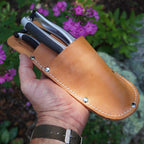 Greenhaus Gardening Professional Garden Pruning Kit with Leather Carry Holster