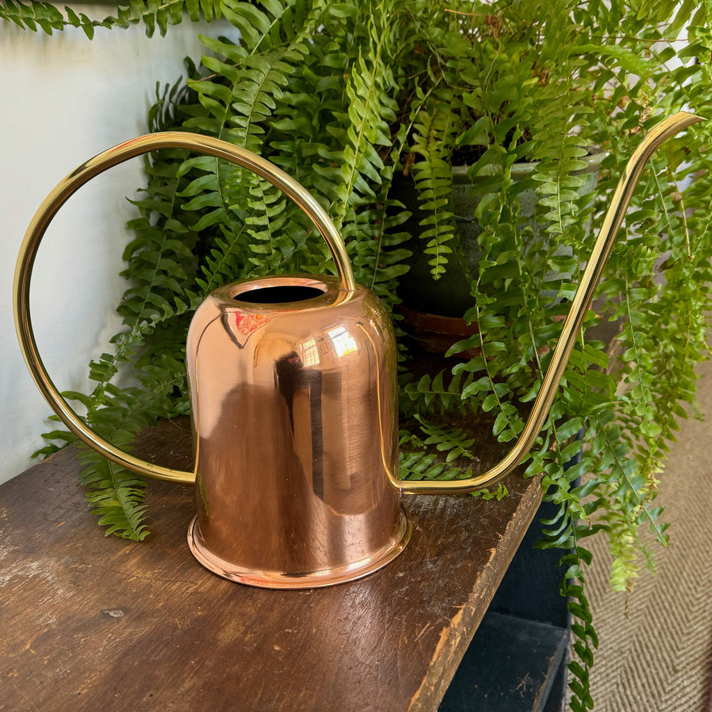 Greenhaus Gardening Copper Watering Can with Brass Handle and Spout