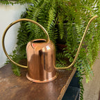 Greenhaus Gardening Copper Watering Can with Brass Handle and Spout