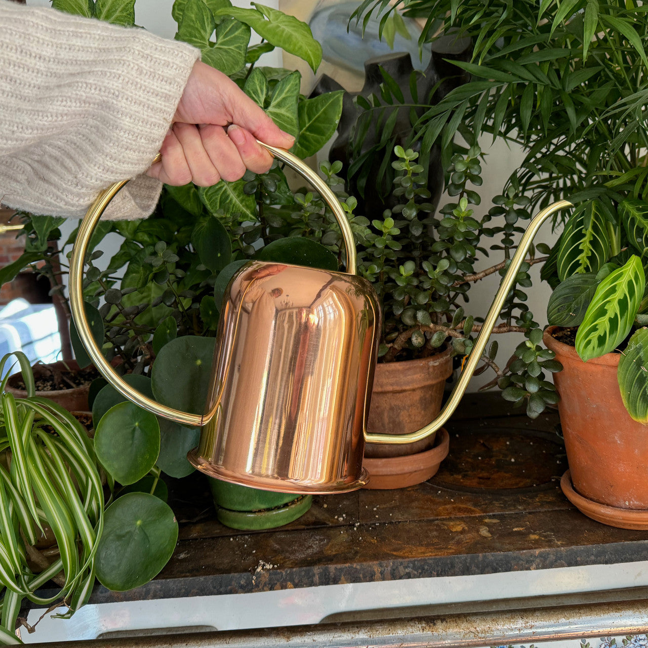 Greenhaus Gardening Copper Watering Can with Brass Handle and Spout