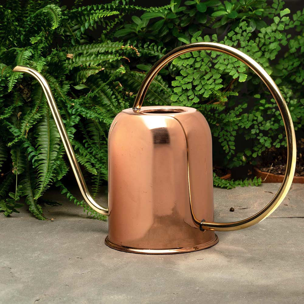 Greenhaus Gardening Copper Watering Can with Brass Handle and Spout