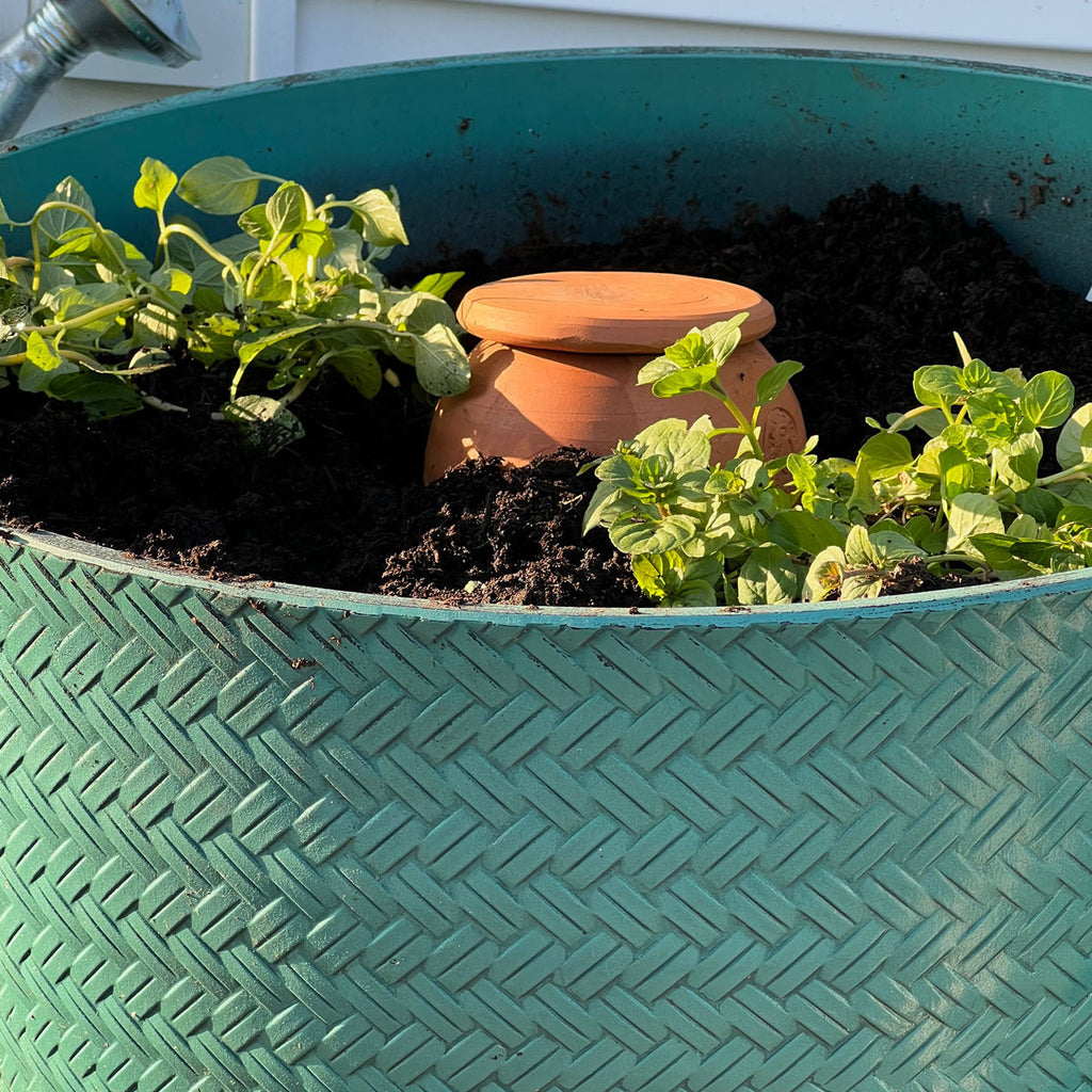 Greenhaus Gardening Olla Watering Pot – Natural Underground Irrigation