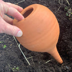 Greenhaus Gardening Olla Watering Pot – Natural Underground Irrigation