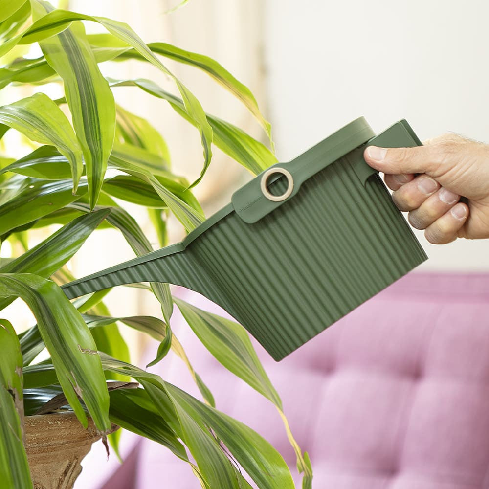 Greenhaus Gardening Indoor Watering Can – Compact 1.5L Watering Vessel